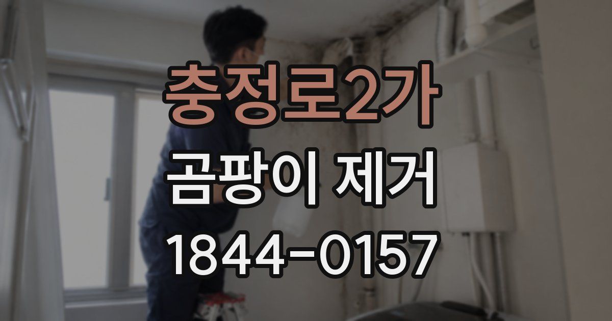 충정로2가 곰팡이 제거
