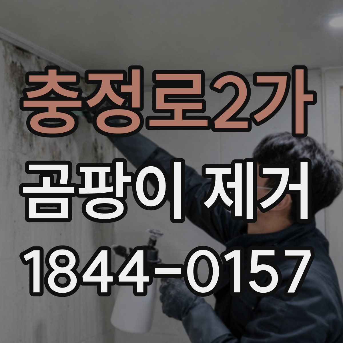 충정로2가 곰팡이 제거