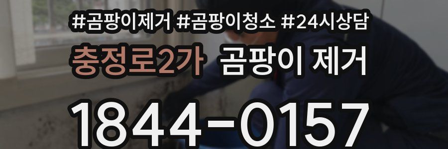 충정로2가 곰팡이 제거