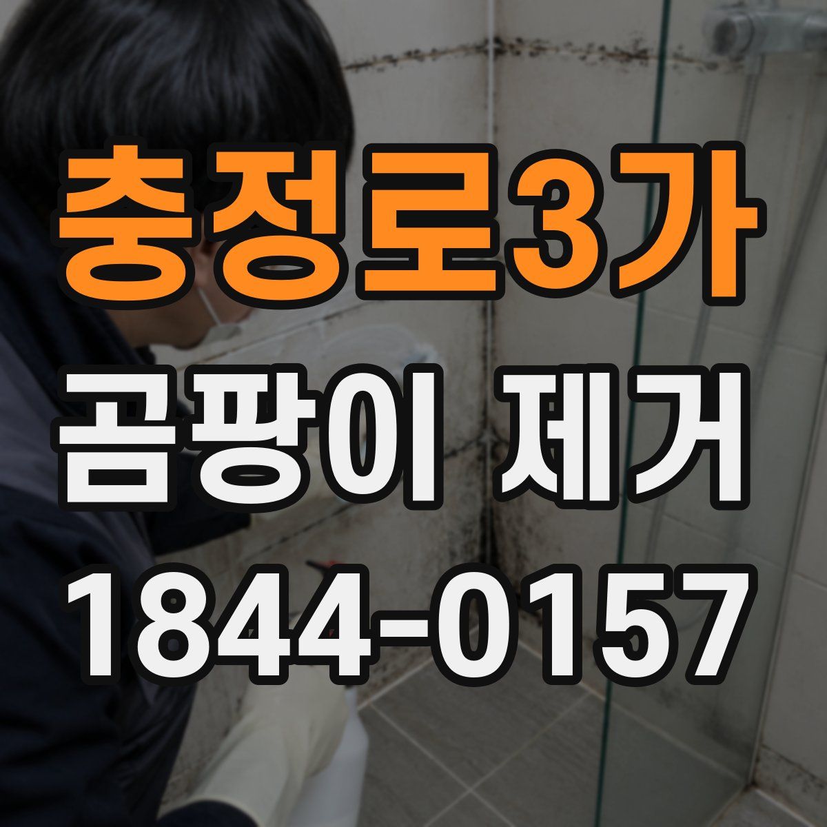 충정로3가 곰팡이 제거