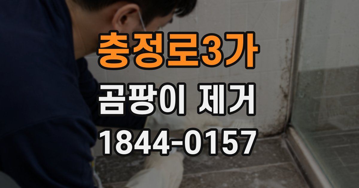 충정로3가 곰팡이 제거