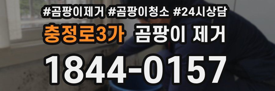 충정로3가 곰팡이 제거