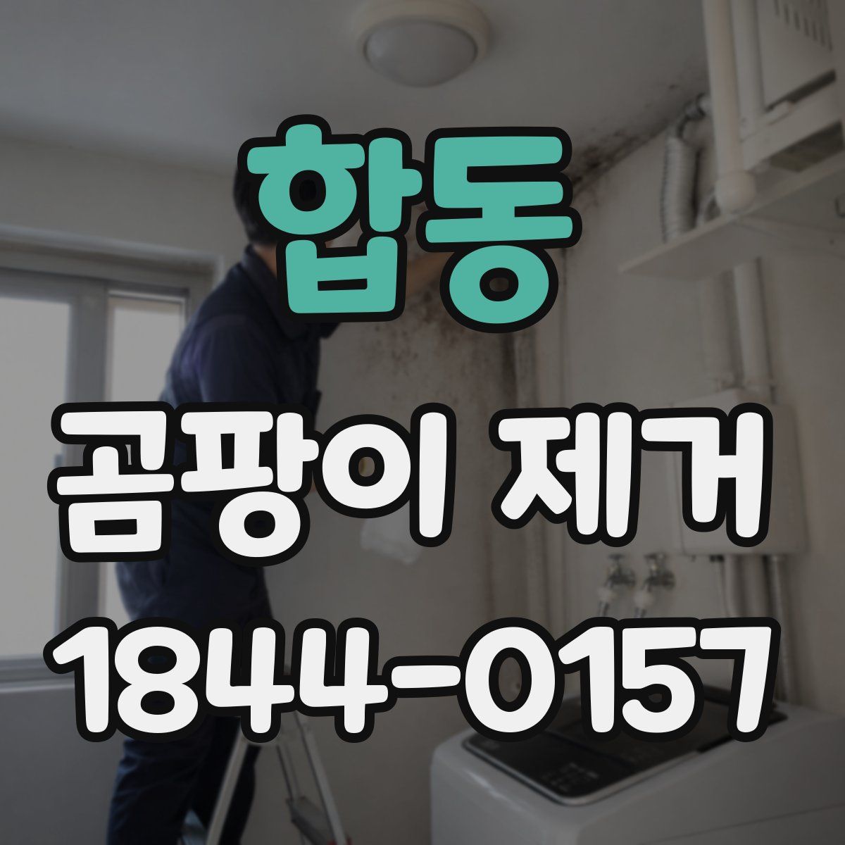 합동 곰팡이 제거