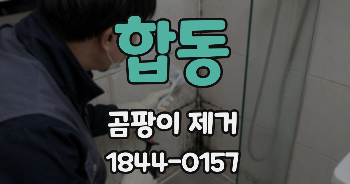합동 곰팡이 제거