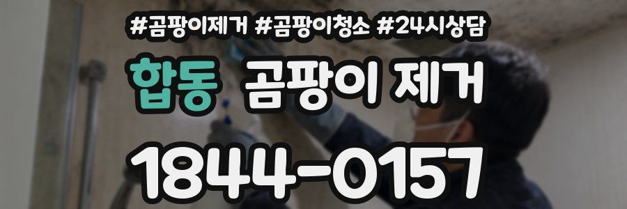 합동 곰팡이 제거
