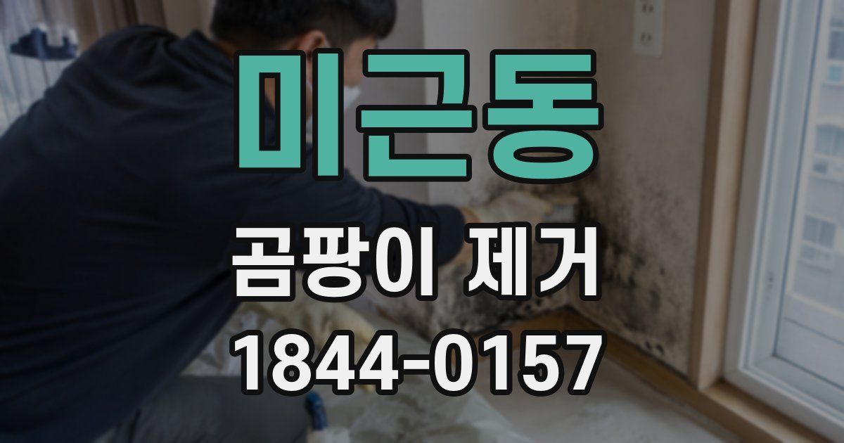 미근동 곰팡이 제거