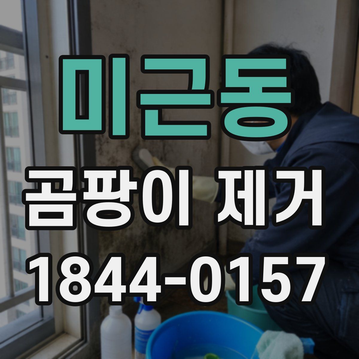 미근동 곰팡이 제거