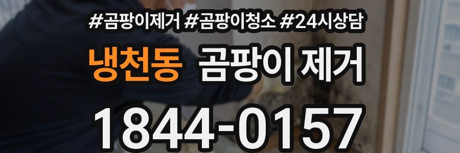 냉천동 곰팡이 제거
