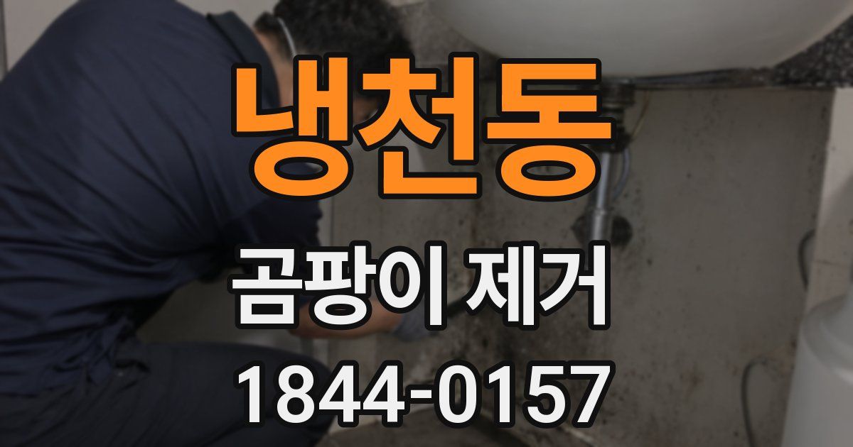 냉천동 곰팡이 제거