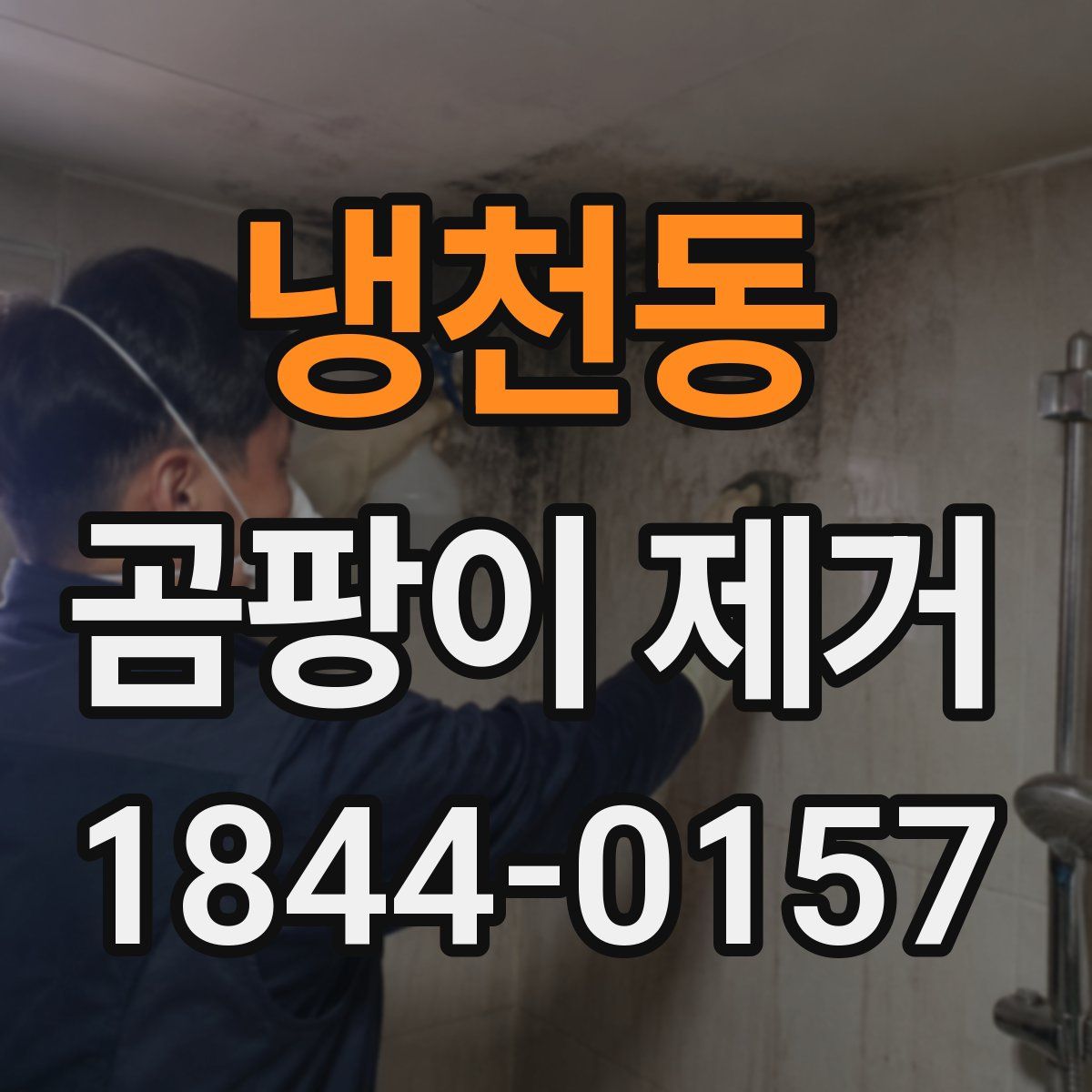 냉천동 곰팡이 제거