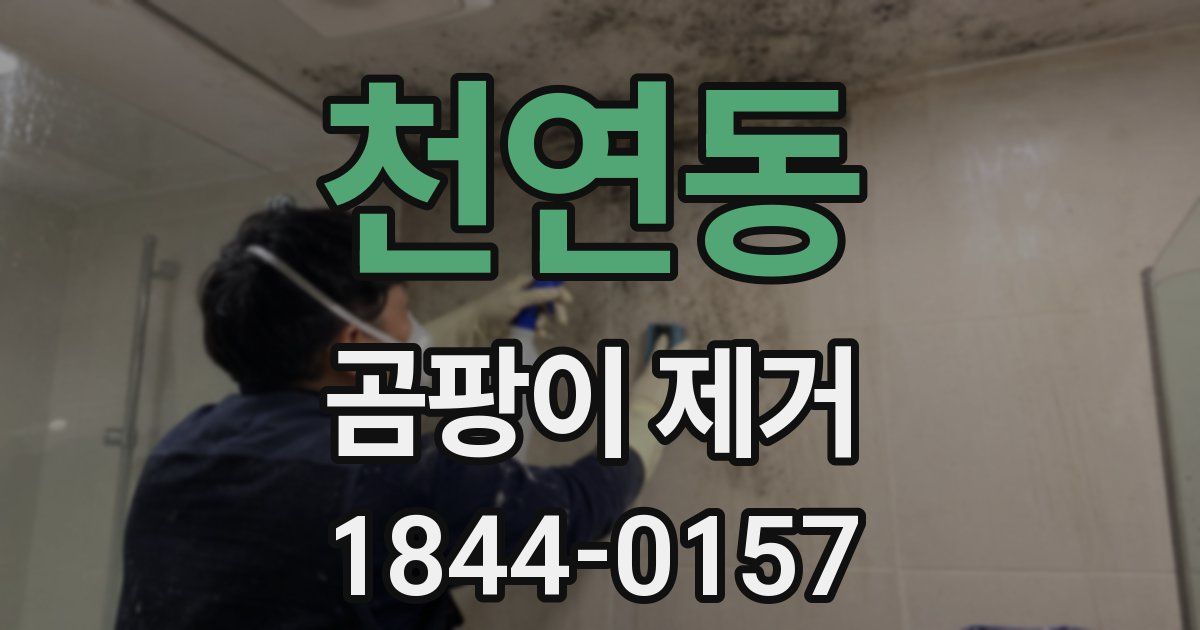 천연동 곰팡이 제거
