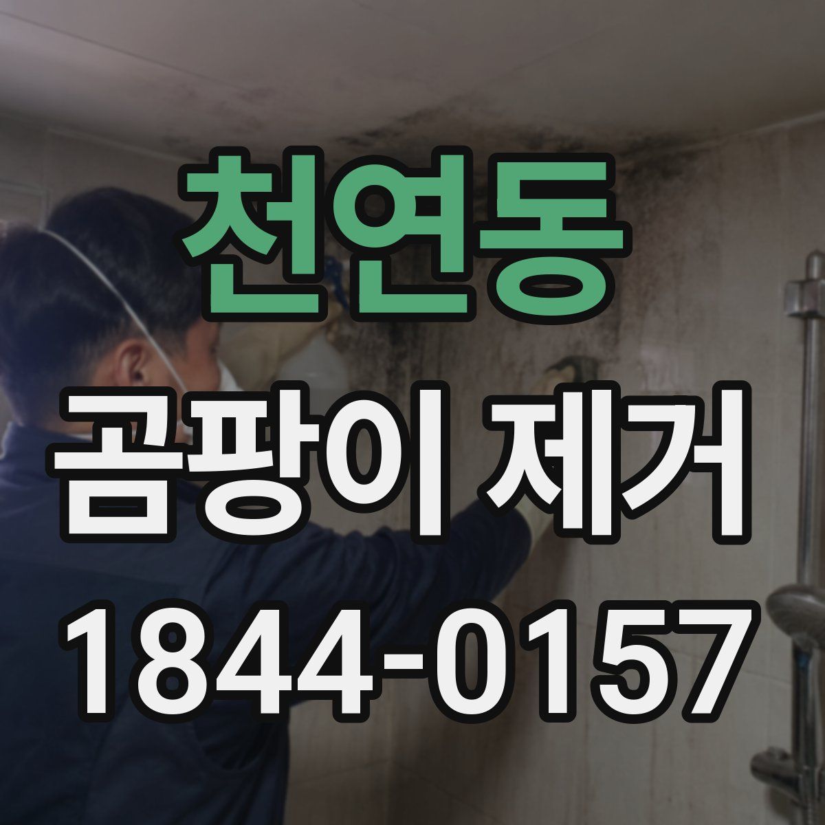 천연동 곰팡이 제거