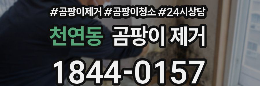 천연동 곰팡이 제거