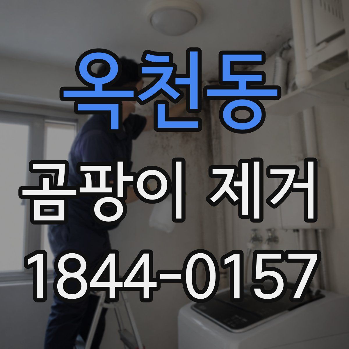 옥천동 곰팡이 제거