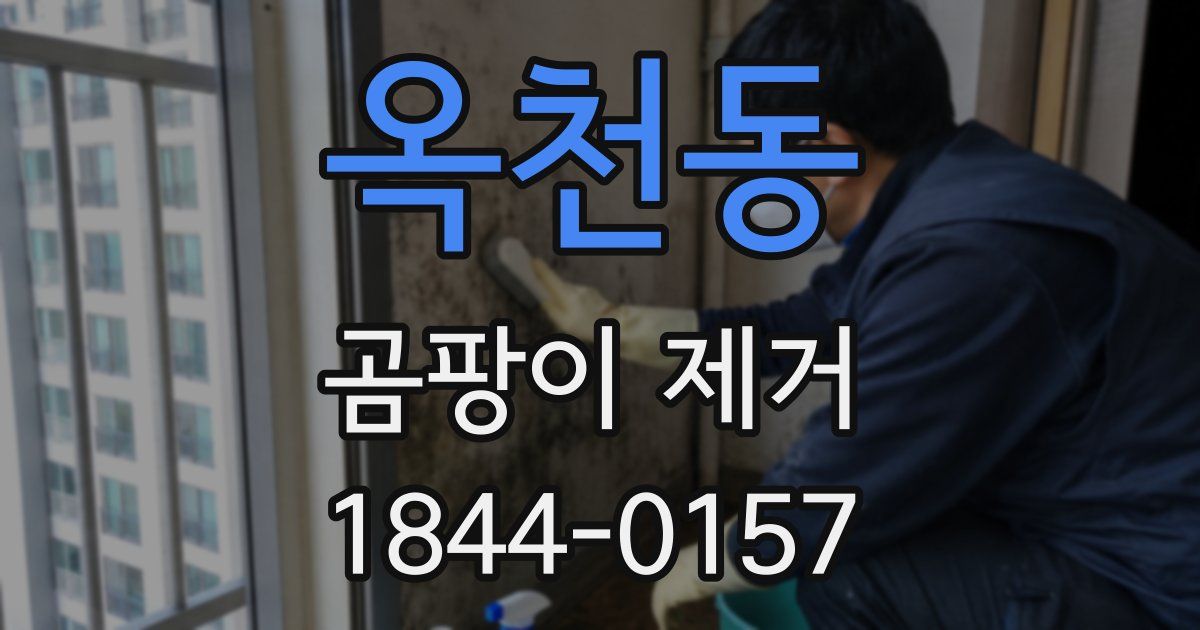 옥천동 곰팡이 제거