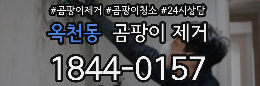 옥천동 곰팡이 제거