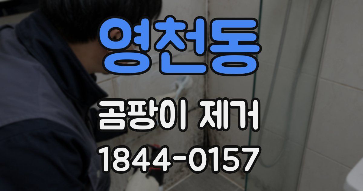 영천동 곰팡이 제거