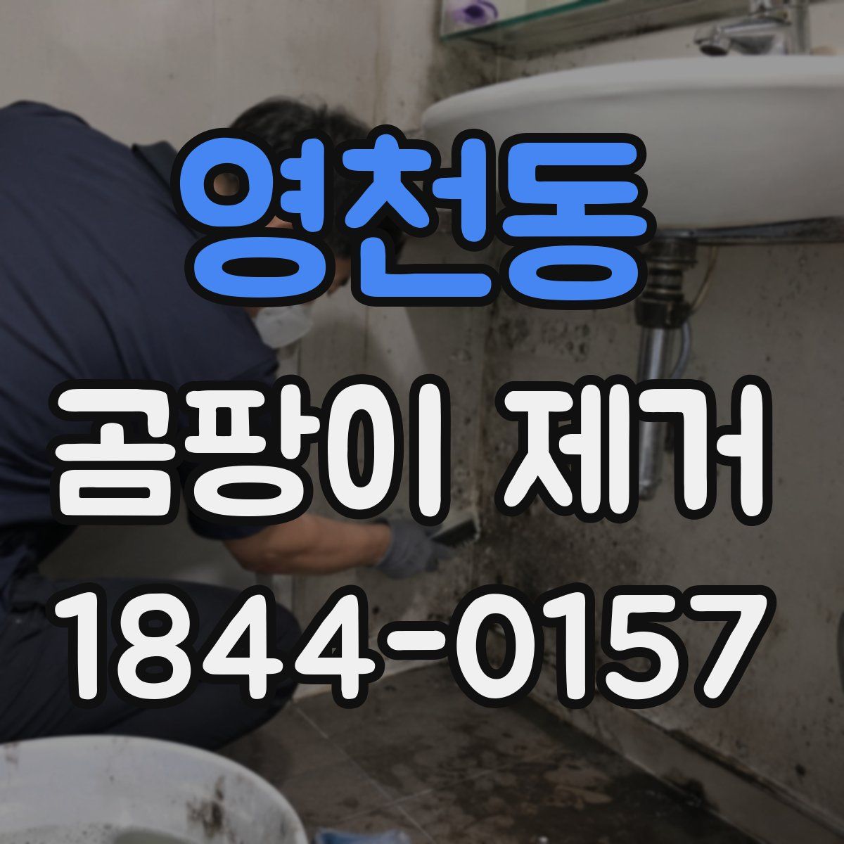 영천동 곰팡이 제거