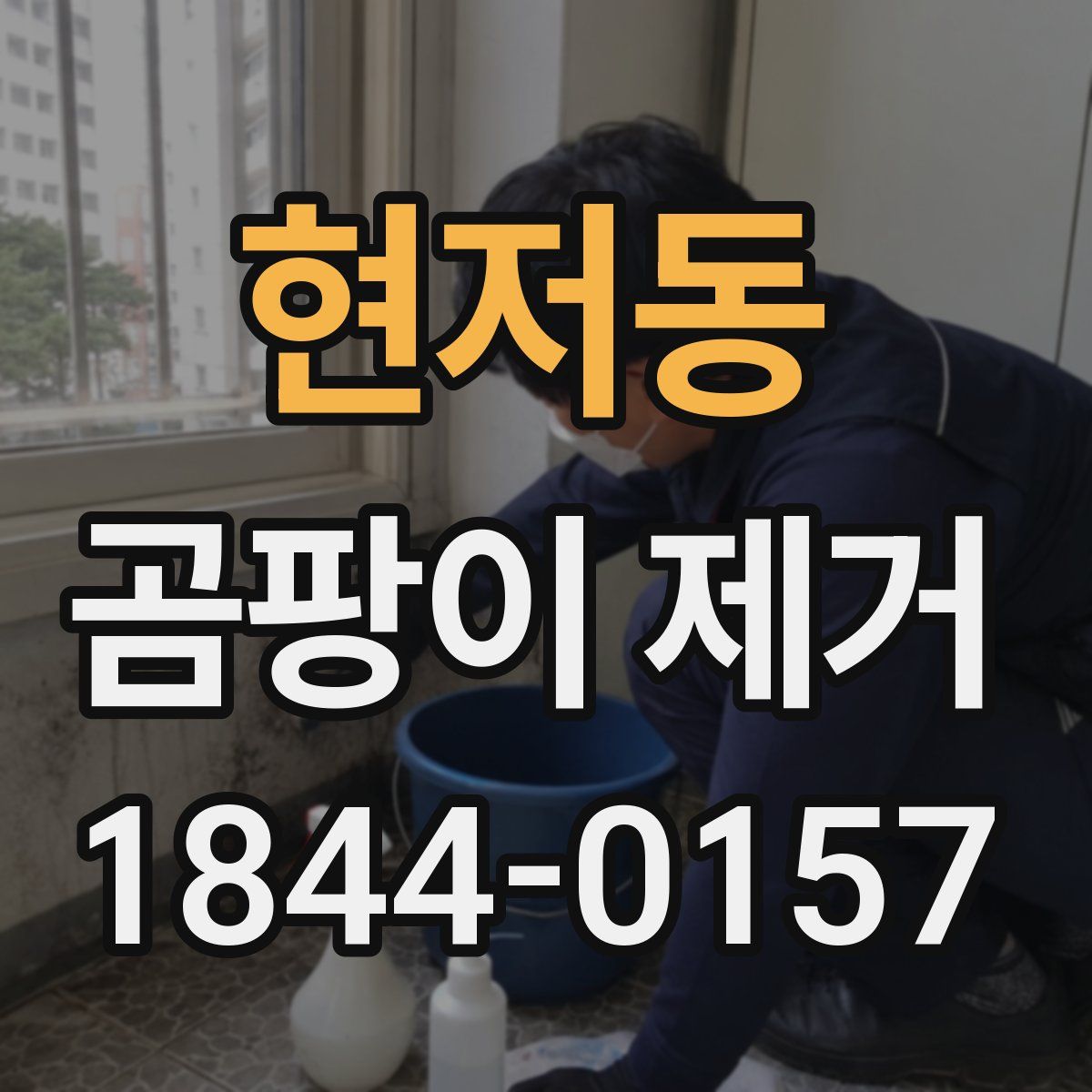 현저동 곰팡이 제거