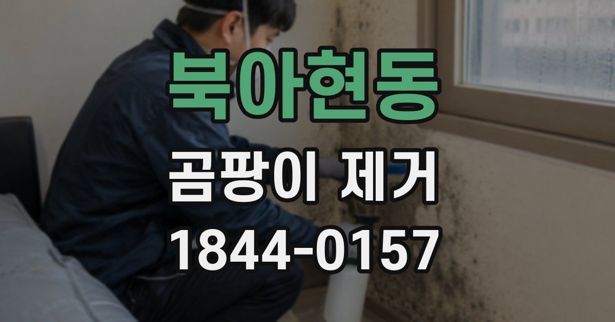 북아현동 곰팡이 제거