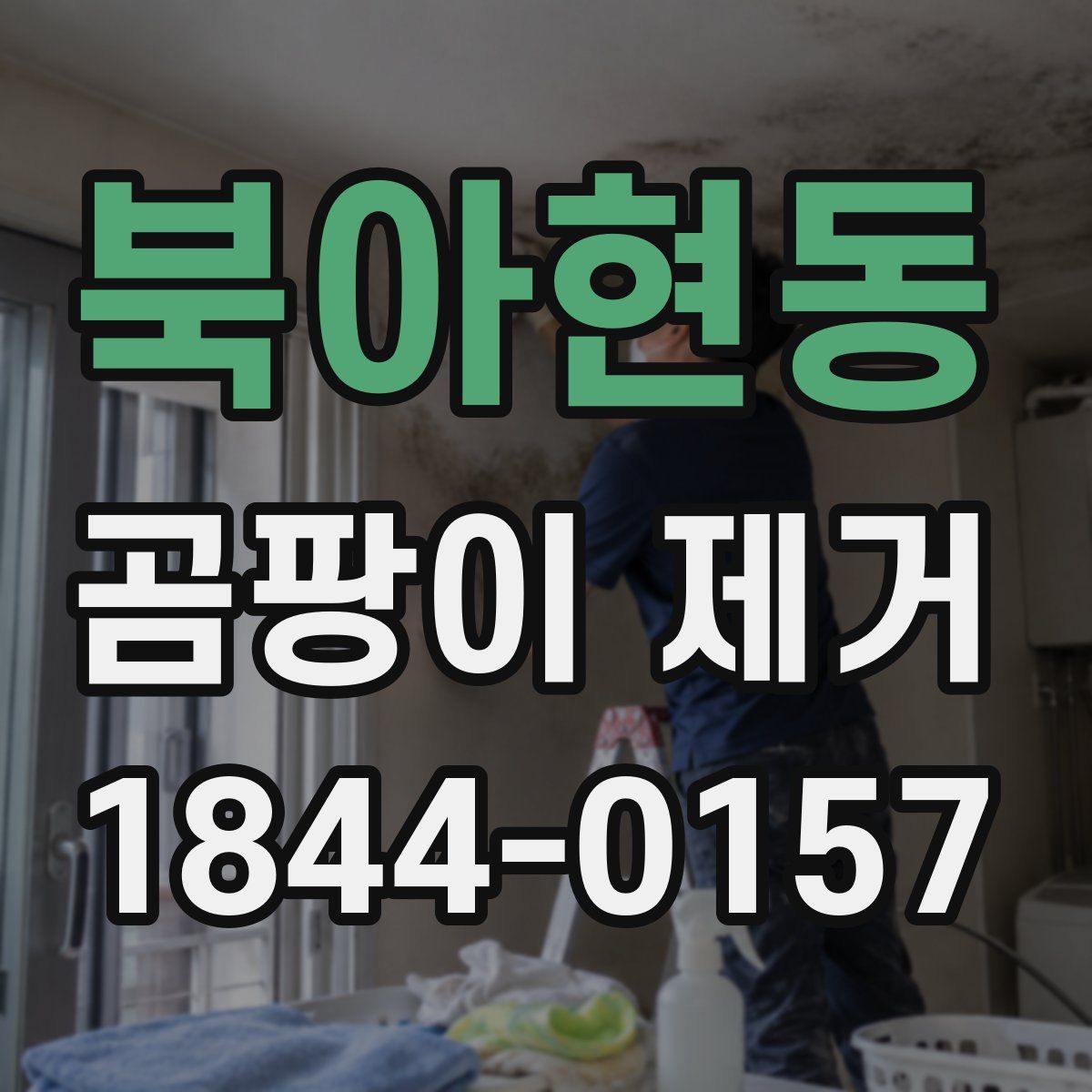 북아현동 곰팡이 제거