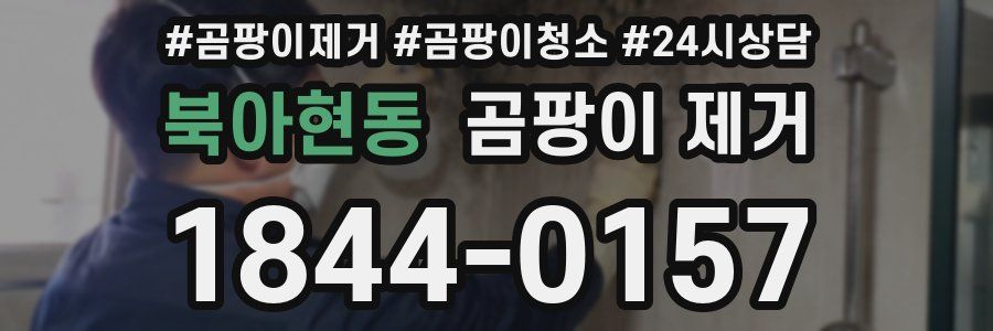 북아현동 곰팡이 제거