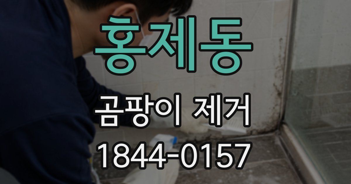 홍제동 곰팡이 제거