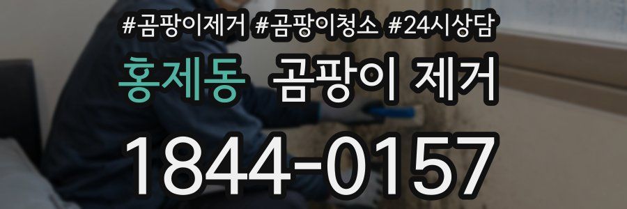 홍제동 곰팡이 제거