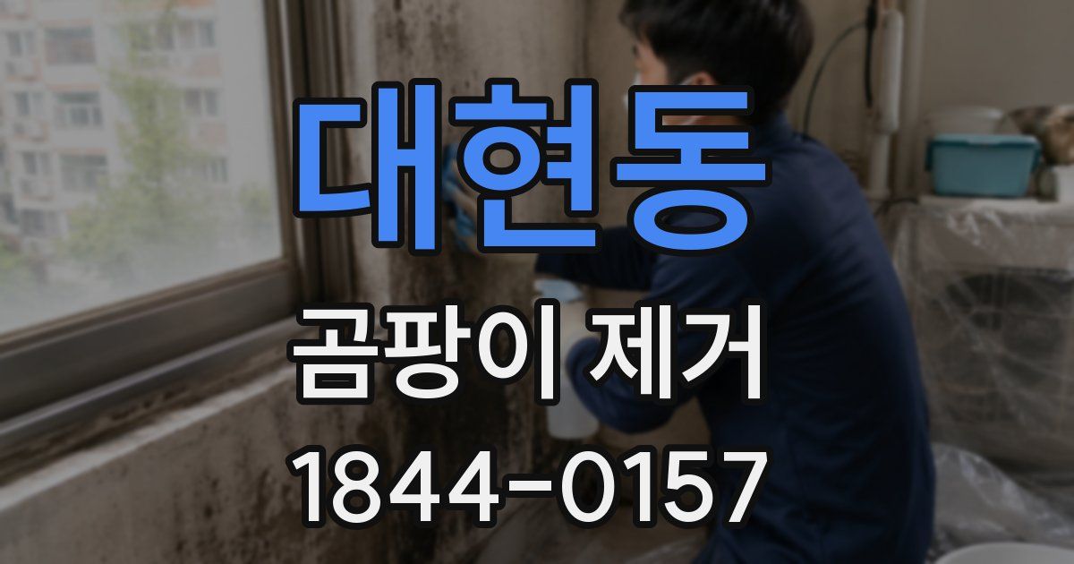대현동 곰팡이 제거