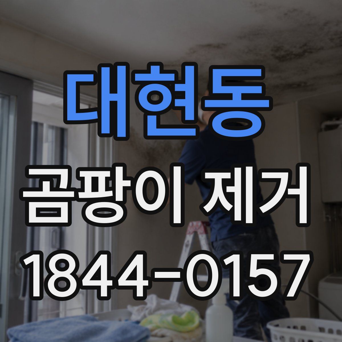 대현동 곰팡이 제거