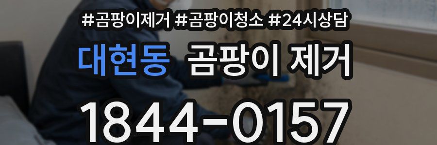 대현동 곰팡이 제거