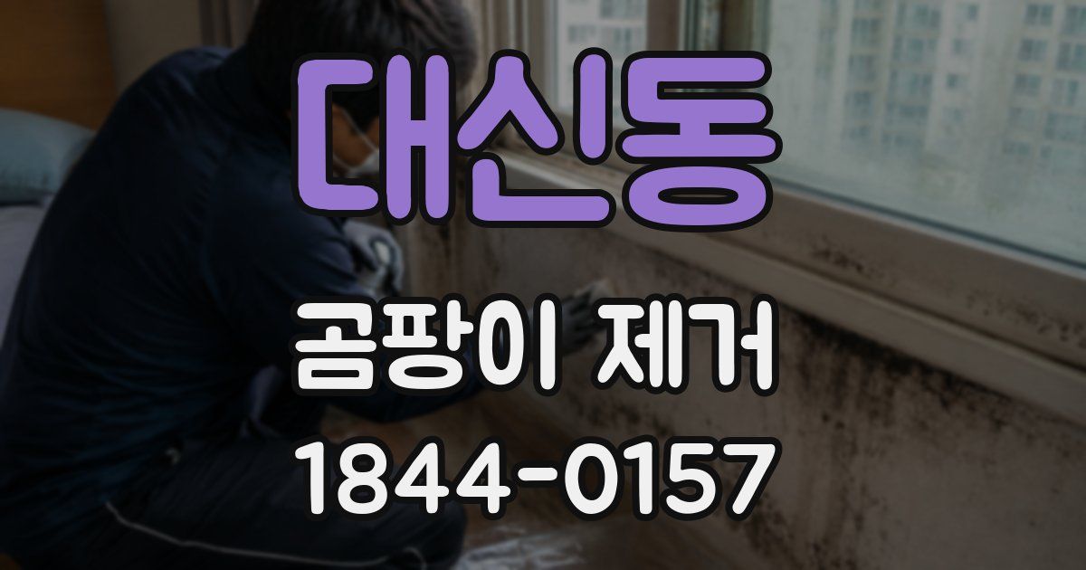 대신동 곰팡이 제거