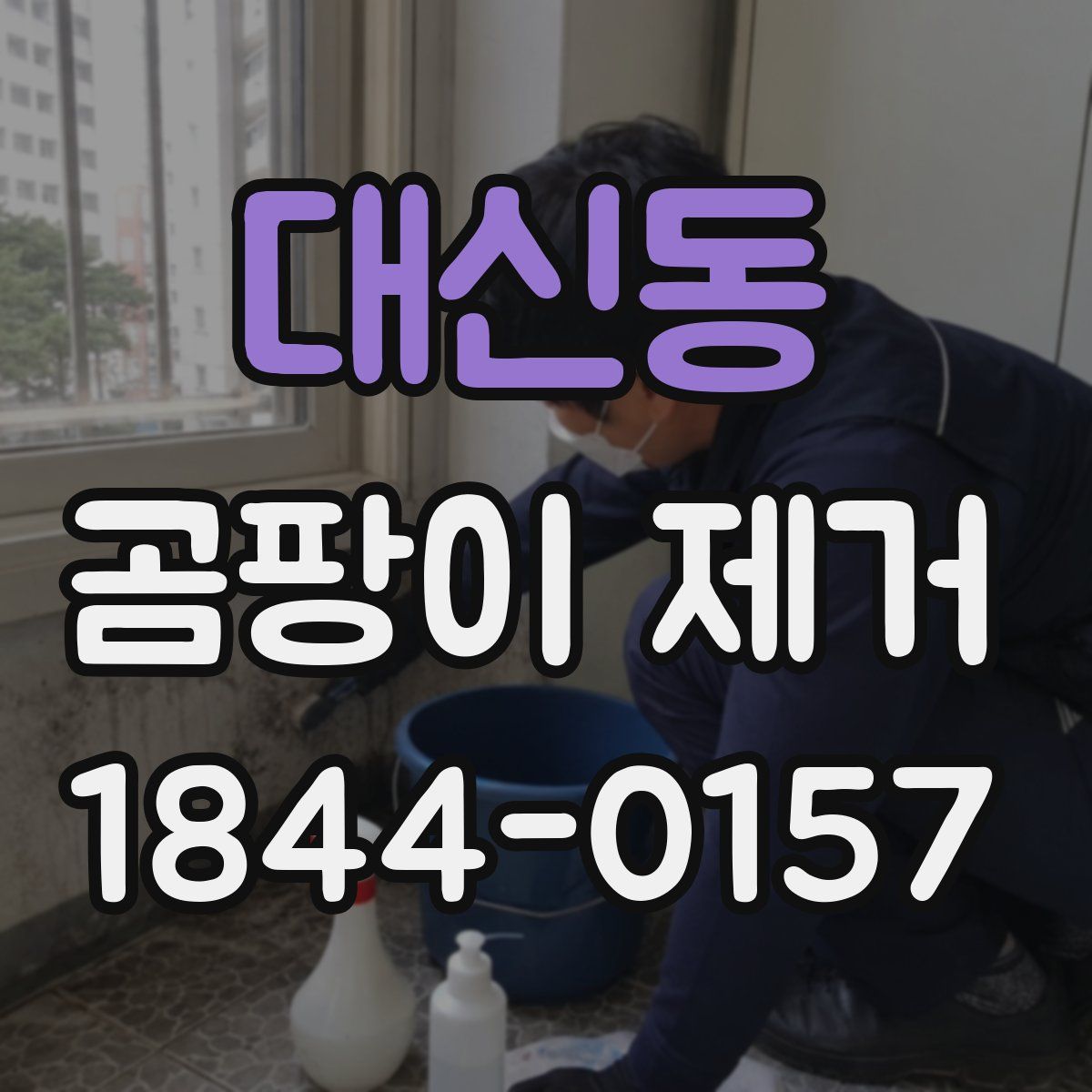 대신동 곰팡이 제거
