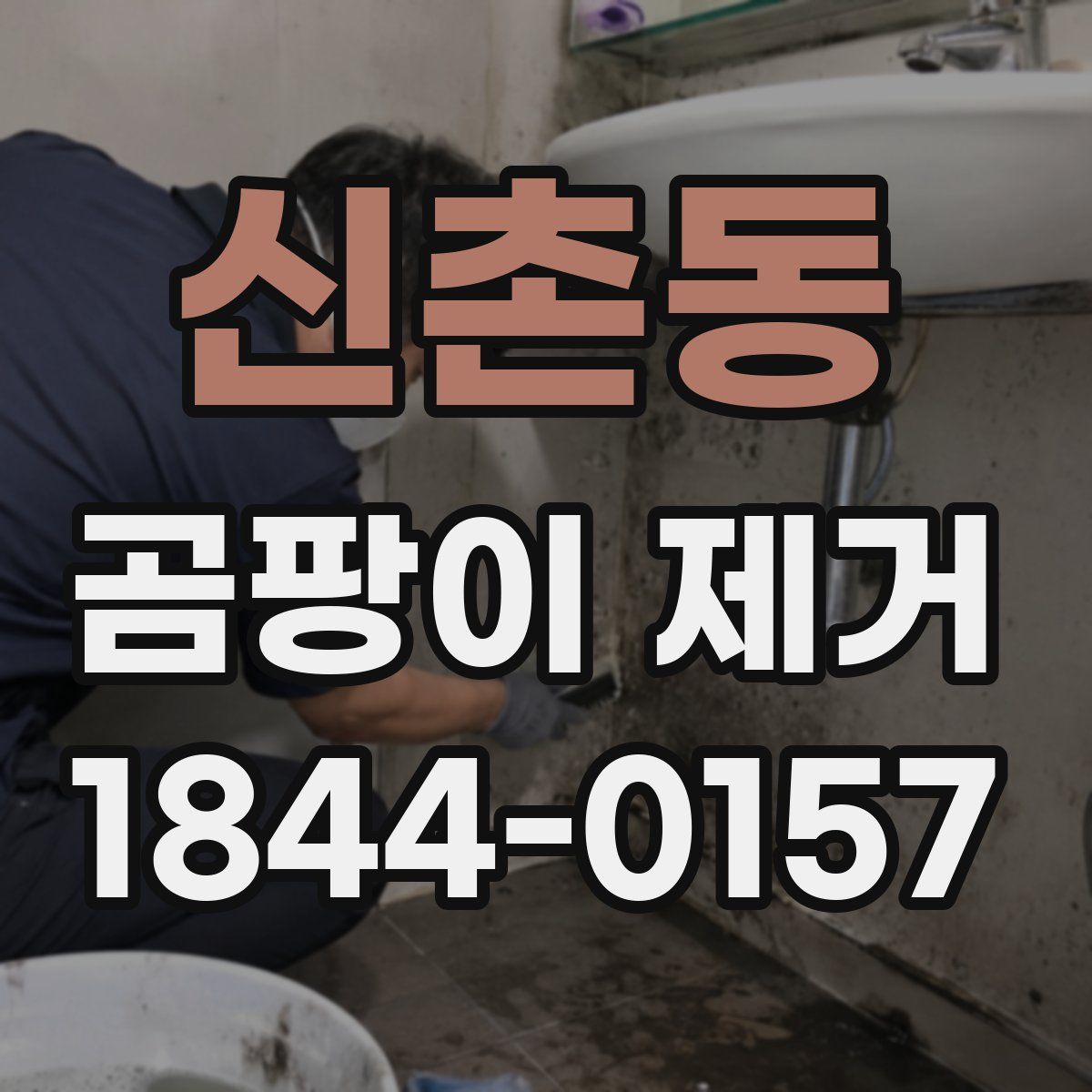 신촌동 곰팡이 제거