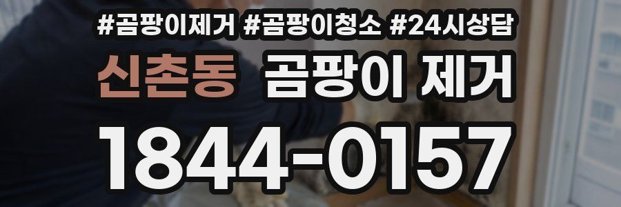신촌동 곰팡이 제거