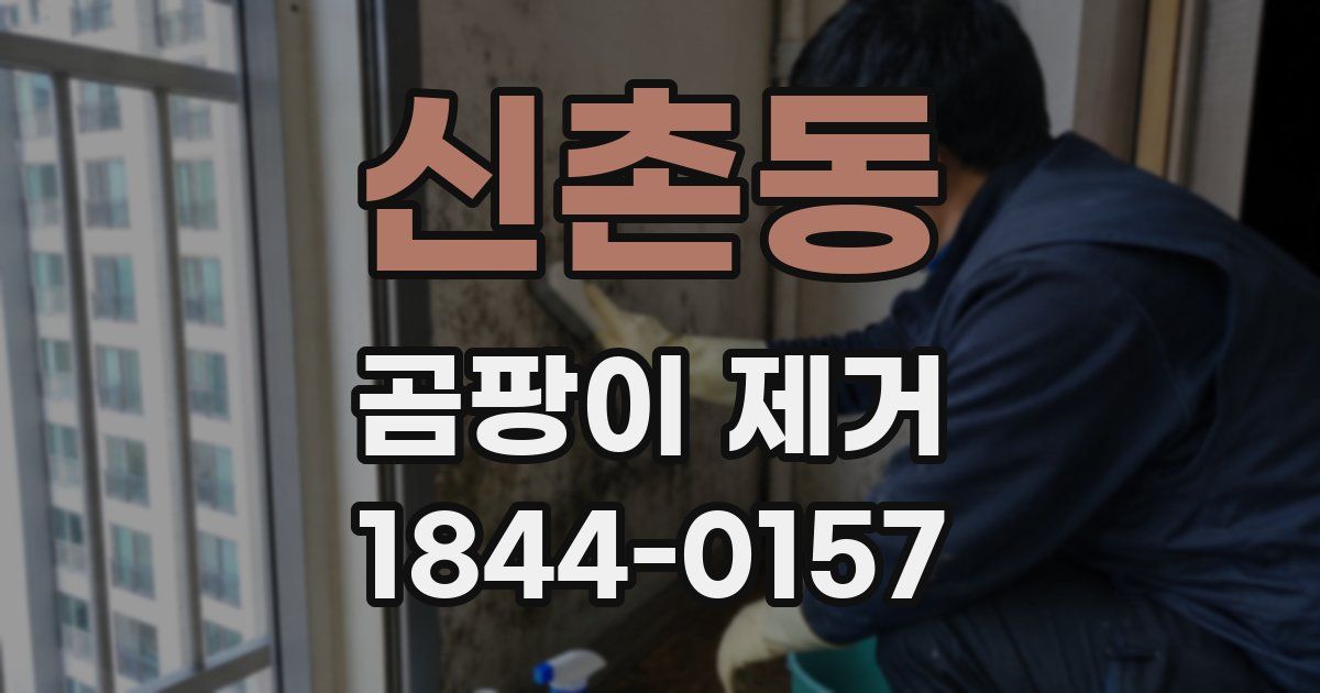 신촌동 곰팡이 제거