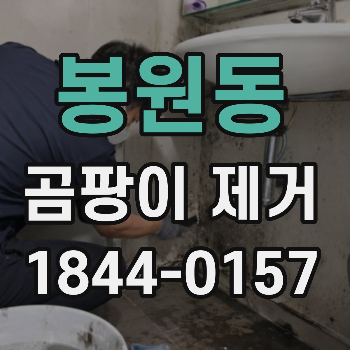 봉원동 곰팡이 제거