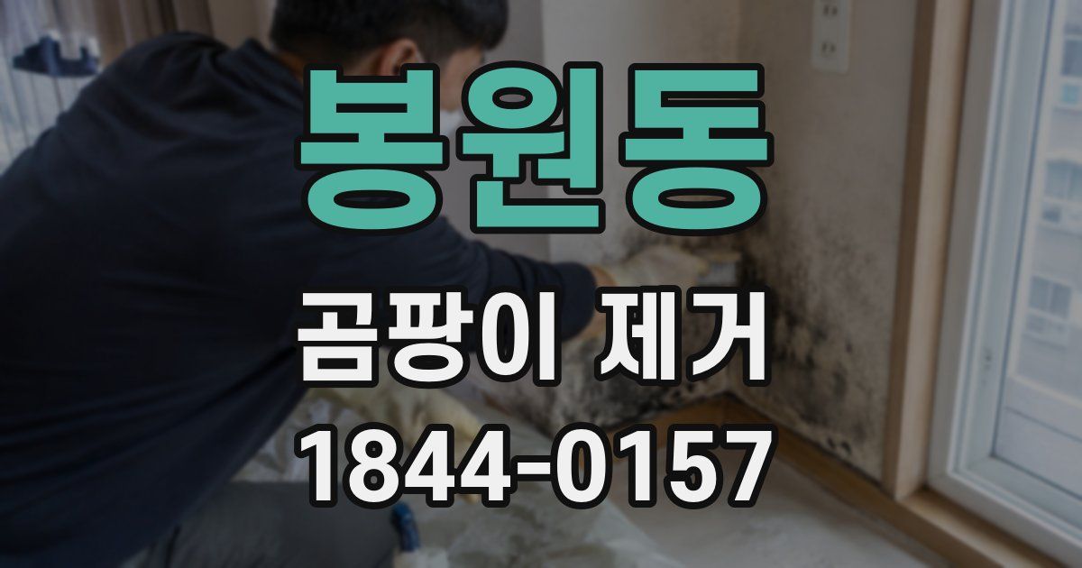 봉원동 곰팡이 제거