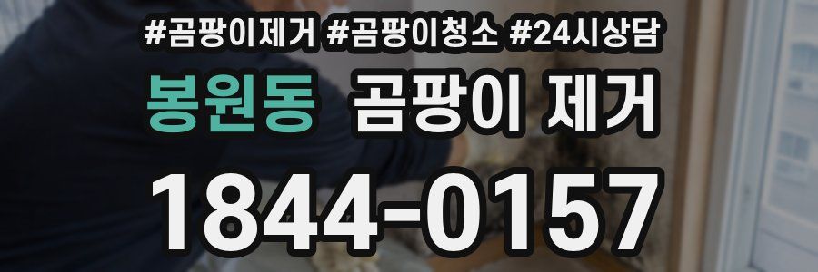 봉원동 곰팡이 제거