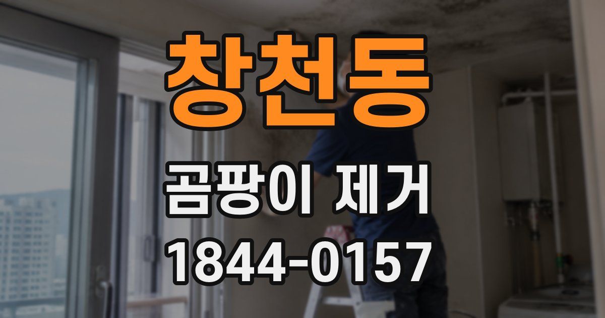 창천동 곰팡이 제거