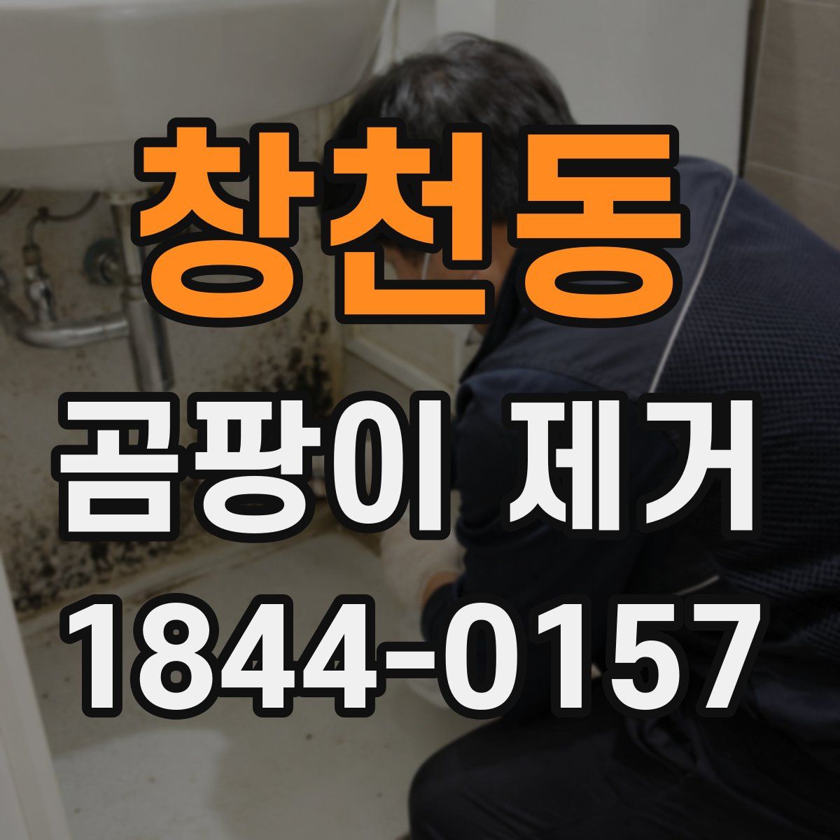 창천동 곰팡이 제거