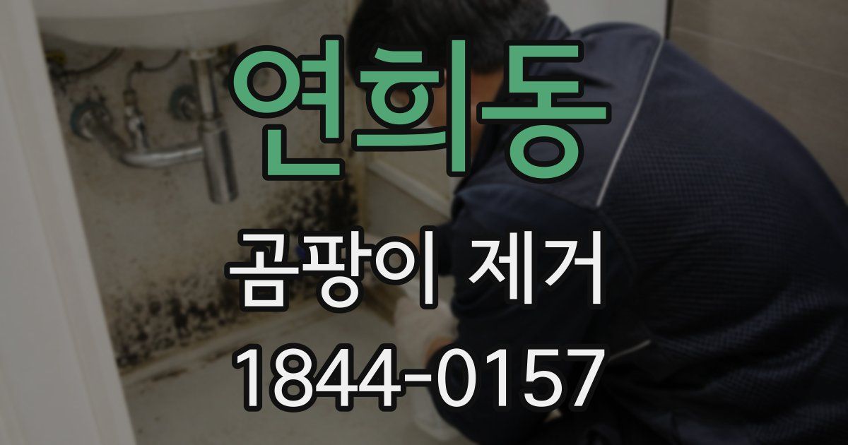 연희동 곰팡이 제거