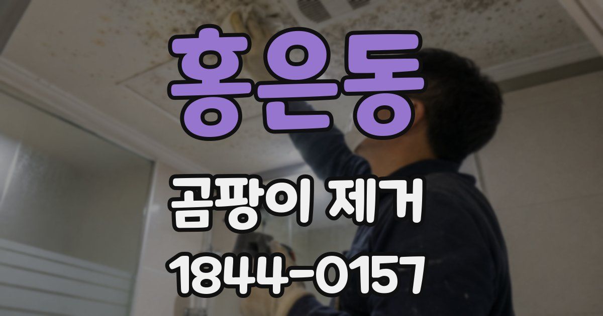 홍은동 곰팡이 제거