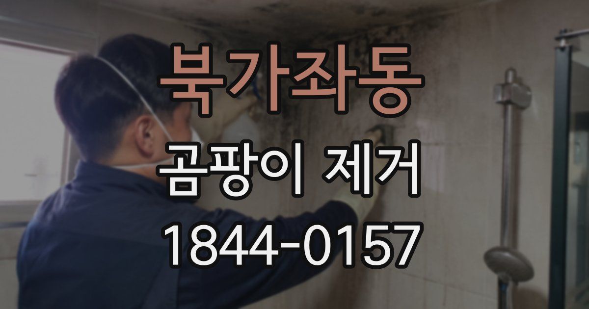 북가좌동 곰팡이 제거