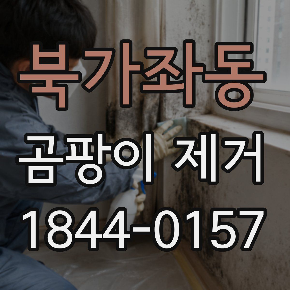 북가좌동 곰팡이 제거