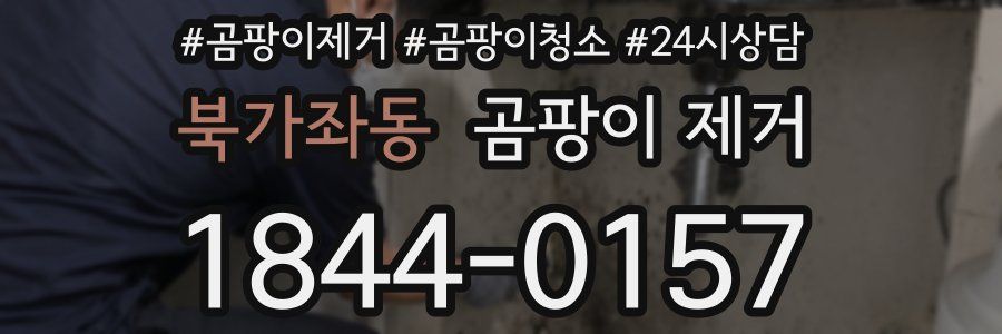 북가좌동 곰팡이 제거