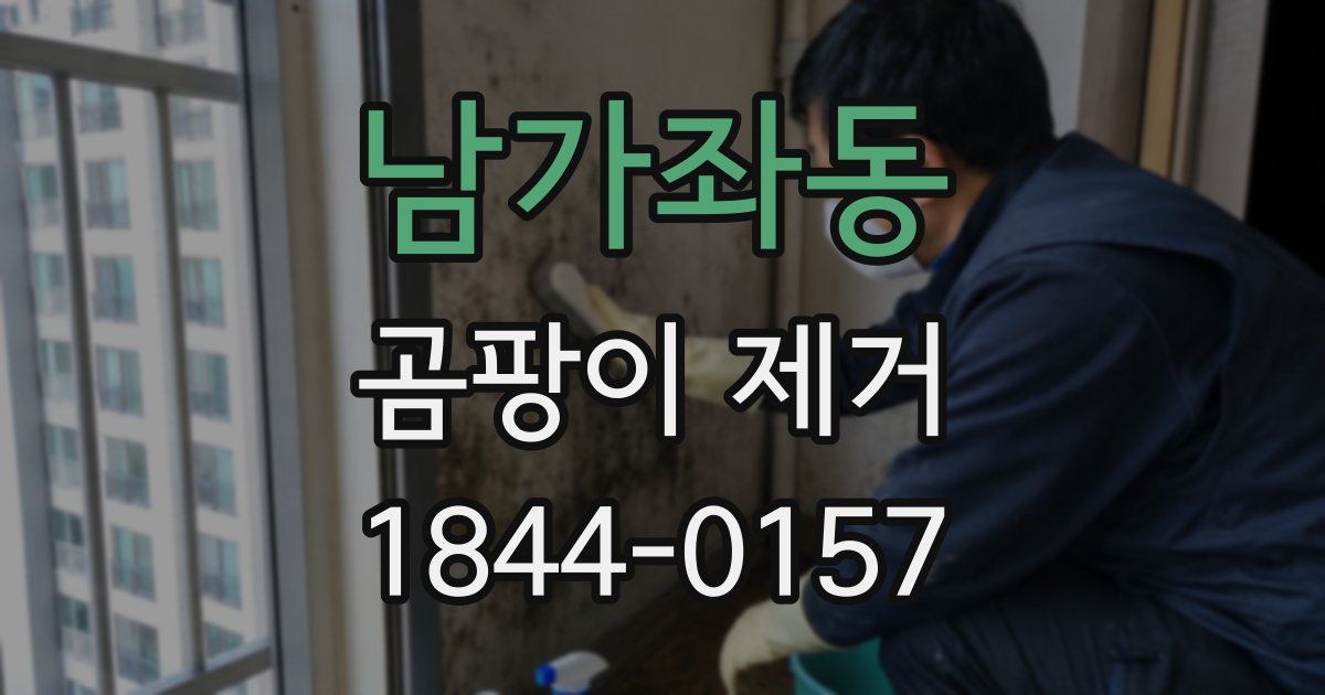 남가좌동 곰팡이 제거
