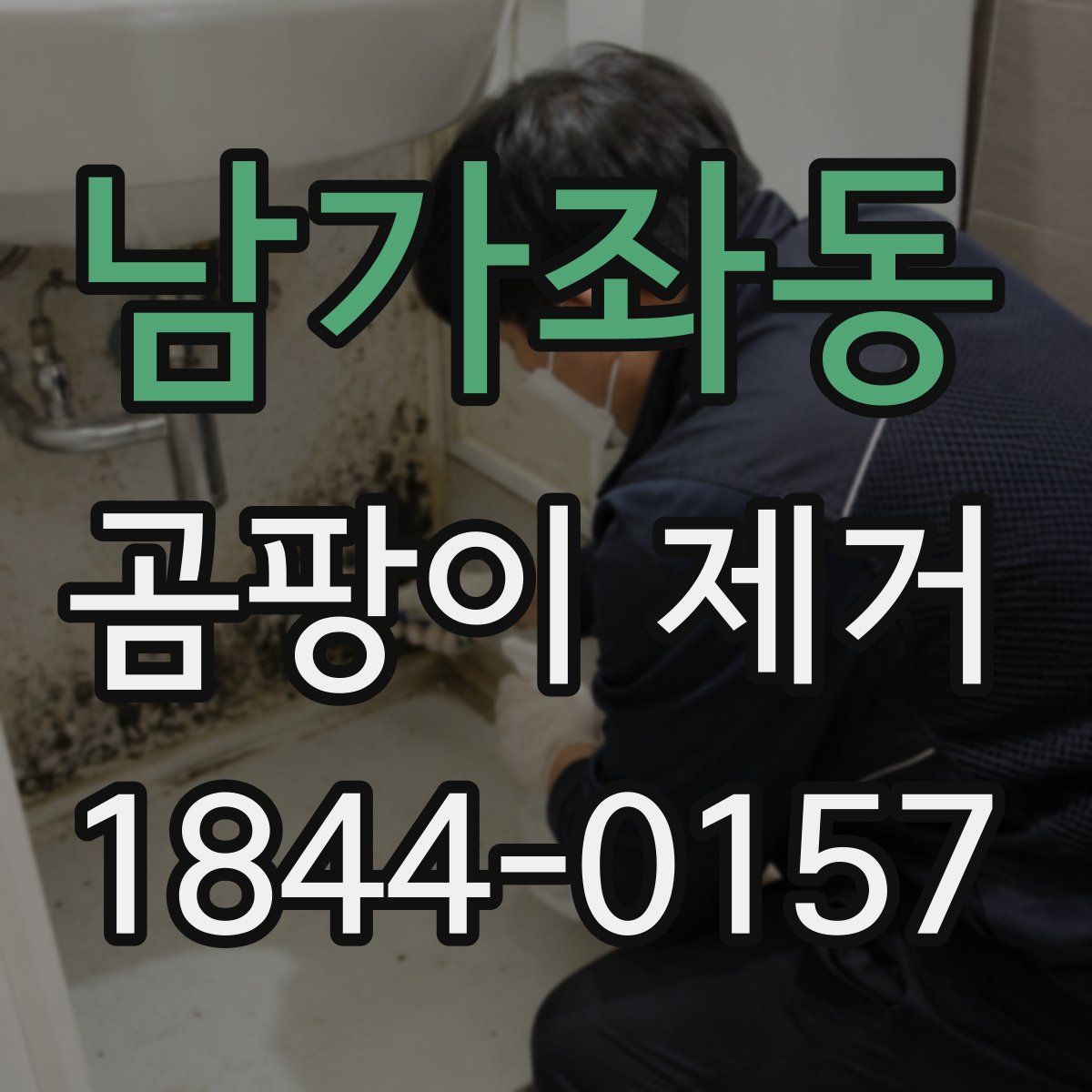남가좌동 곰팡이 제거