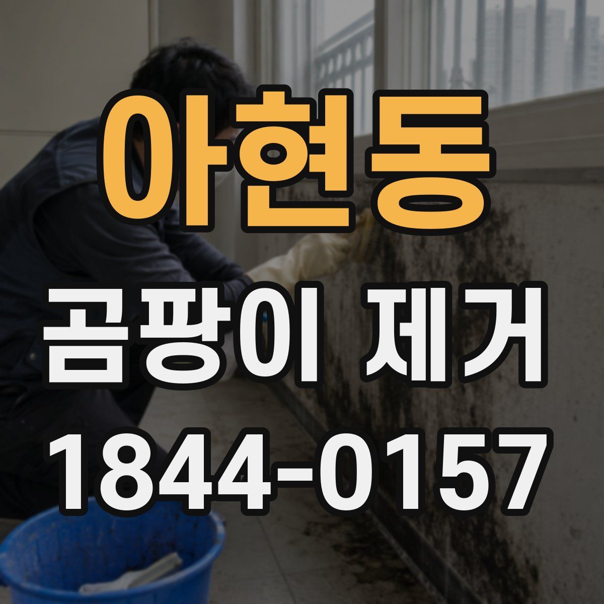 아현동 곰팡이 제거