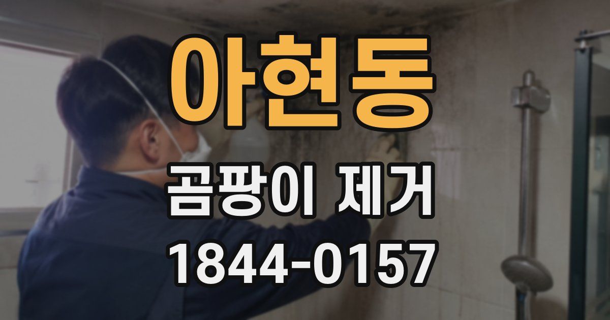 아현동 곰팡이 제거